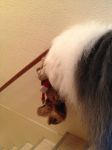 IMG_2203.jpg