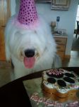 millie1bday2.jpg