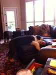 IMG_0792.JPG