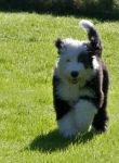 Cloud_s 1st Day of Freedom.jpg