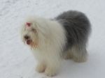 20130124_160536.jpg