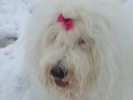 20130124_162630.jpg