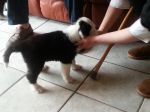 20130303_123312.jpg