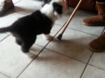 20130303_123357.jpg