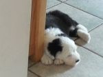 20130303_125725.jpg