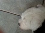 20130303_125734.jpg