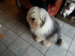 20130303_152101.jpg