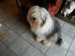 20130303_152102.jpg
