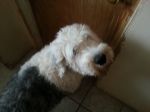 20130303_152120.jpg