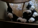 20130303_171312.jpg