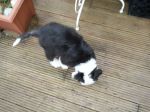 20130320_162742.jpg
