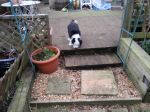 20130320_162825.jpg