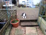 20130320_162827.jpg