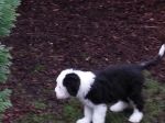 20130320_163110.jpg