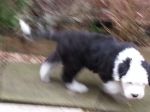 20130320_163213.jpg