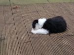 20130320_163326.jpg