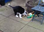 20130320_163532.jpg