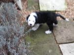 20130320_163733.jpg