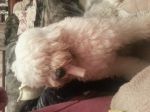 20121226_073839.jpg