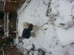 20130118_091339.jpg