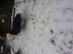 20130118_091443.jpg