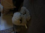 20130226_203009.jpg