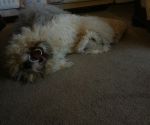 20130226_203036-1.jpg