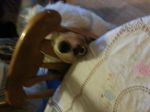 20130303_182516.jpg