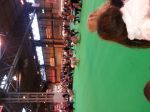 20130310_103413.jpg