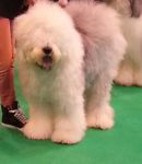 20130310_103840-1.jpg