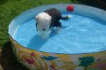 DSC01239.JPG