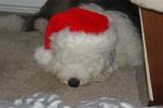 DSC01645.JPG