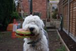 DSC01702.JPG