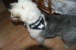 DSC01731.JPG