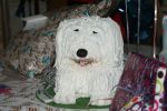 DSC01735.JPG