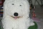 DSC01738.JPG