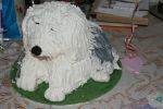DSC01739.JPG