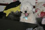 DSC01759.JPG