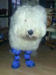 booties.jpg