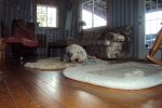 DSC00961.JPG