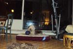 DSC01001.JPG