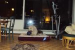DSC01002.JPG