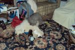 DSC01062.JPG