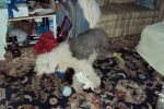 DSC01063.JPG