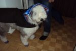 DSC01125.JPG