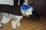 DSC01126.JPG