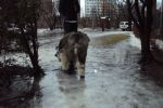 DSC01127.JPG