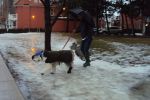 DSC01128.JPG