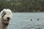 DSC01466.JPG