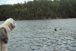 DSC01467.JPG